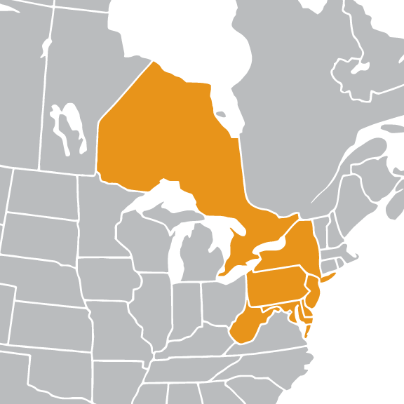 UPCEA Mid-Atlantic Region Map | West Virginia, Maryland, Washington, D.C., Delaware, New Jersey, Pennsylvania, New York