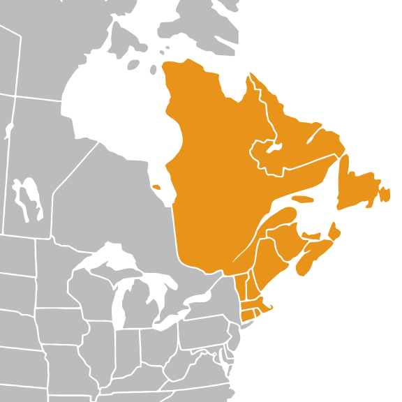 UPCEA New England Region Map | Connecticut, Rhode Island, Massachusetts, Vermont, New Hampshire, Maine