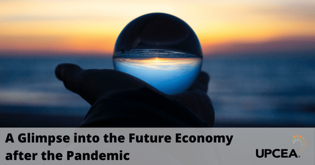 A Glimpse into the Future Economy after the Pandemic