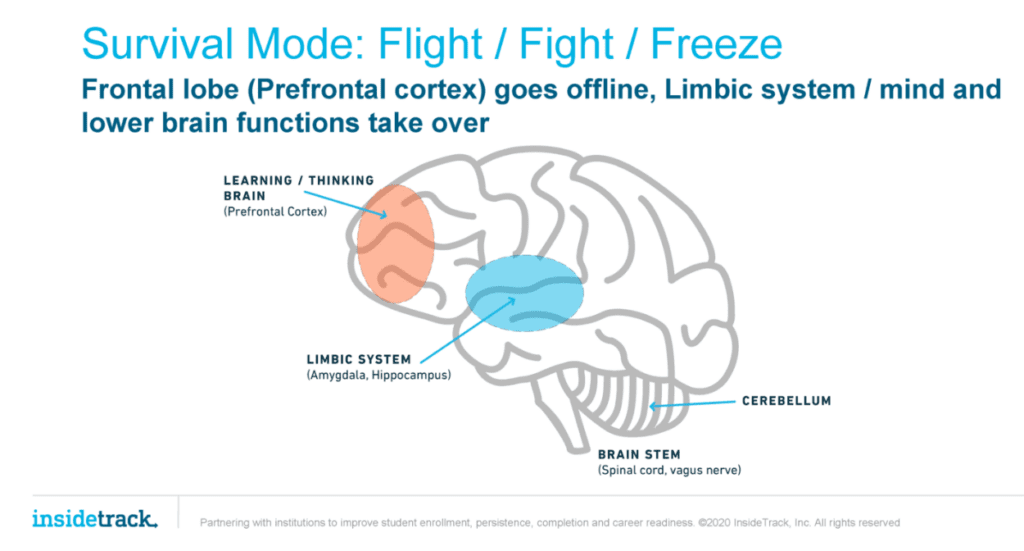 Survival Mode: Flight/Fight/Freeze