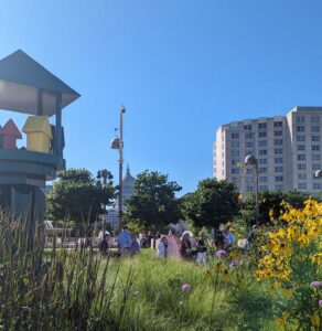 Wildflowers in the foreground, with people talking and the Madison capitol building in the distance.