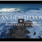 Ocean Health Voyage YouTube video screenshot. An innovative global course from the University of Miami.